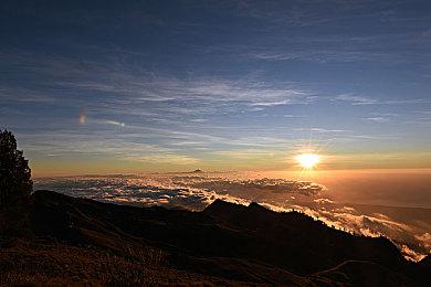 《饥饿派画家2：迷失》4月5日发售 支持简中